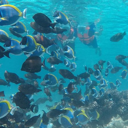 Hotel Club Blu Hulhumale Esterno foto