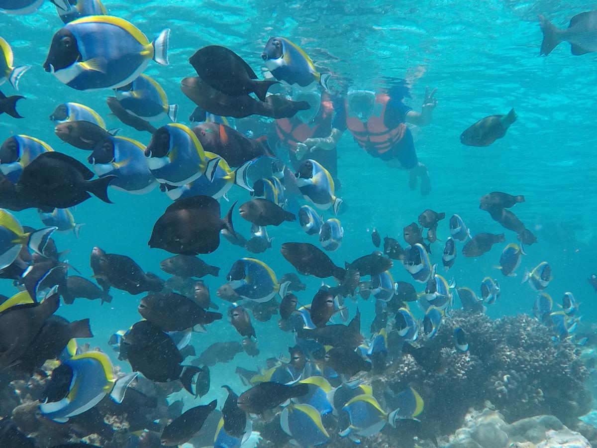 Hotel Club Blu Hulhumale Esterno foto